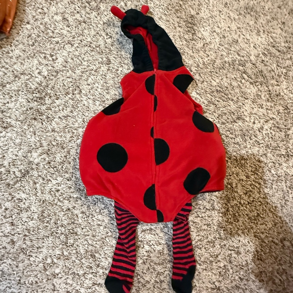 Carter's Red and Black Ladybug Outfit